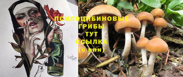мдма Бронницы