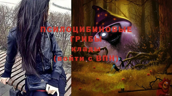 индика Покров