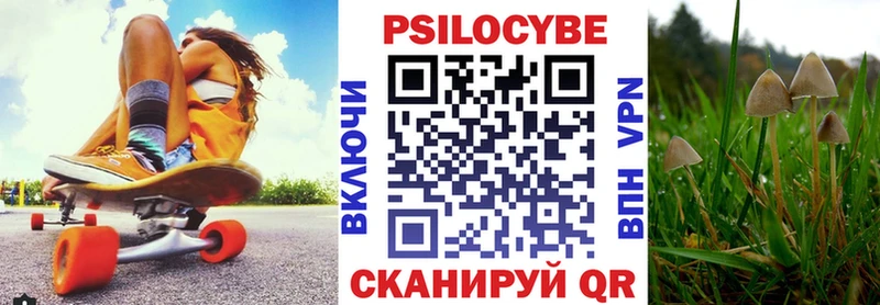 Галлюциногенные грибы Psilocybine cubensis  Венёв 
